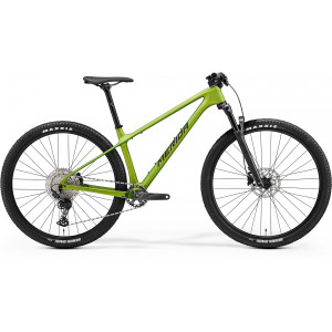 Velosipēds Merida Big.Nine 3000 III1 matt fall green(blk-slv-grn)