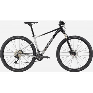 Velosipēds Cannondale Trail 29" SL 4 charcoal gray