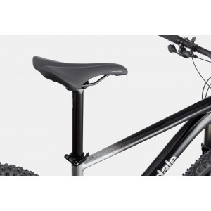 Velosipēds Cannondale Trail 29" SL 4 charcoal gray