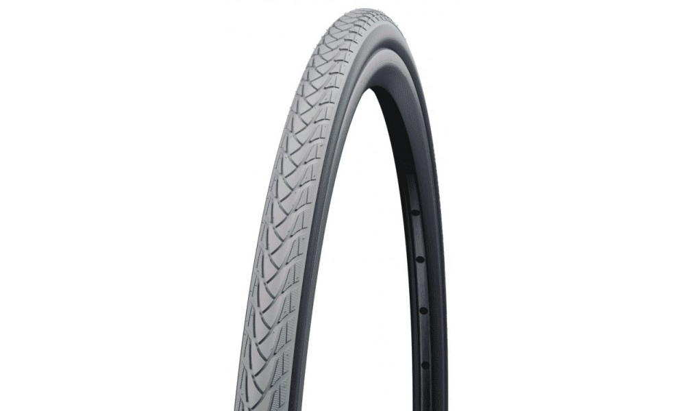 Riepa 22" Schwalbe Marathon Plus HS440, Evo 25-489 / 22x1.00 Reflex 