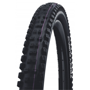 Riepa 29" Schwalbe Tacky Chan HS625, Evo Fold. TLE 62-622 / 29x2.40 Super Downhill