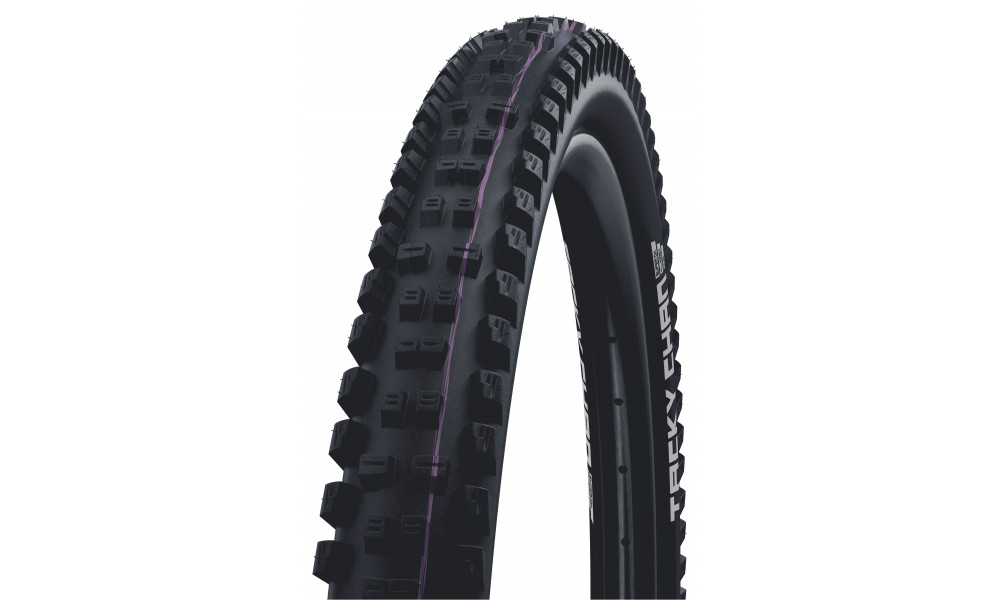 Riepa 29" Schwalbe Tacky Chan HS625, Evo Fold. TLE 62-622 / 29x2.40 Super Downhill - 1