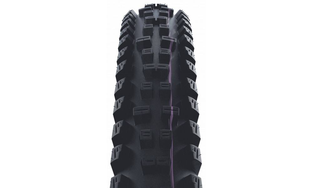 Riepa 29" Schwalbe Tacky Chan HS625, Evo Fold. TLE 62-622 / 29x2.40 Super Downhill - 4