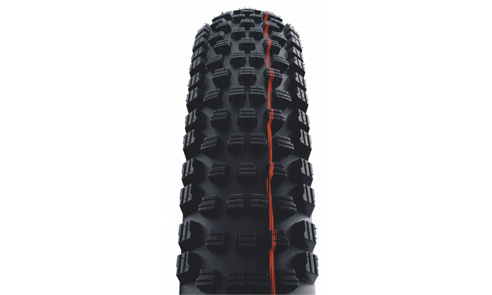 Riepa 29" Schwalbe Wicked Will HS614, Evo Fold. TLE 62-622 / 29x2.40 Super Race Transparent Skin - 3