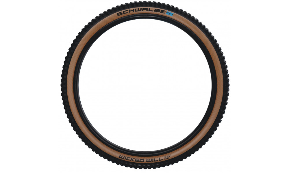 Riepa 29" Schwalbe Wicked Will HS614, Evo Fold. TLE 57-622 / 29x2.25 Super Race Transparent Skin - 2