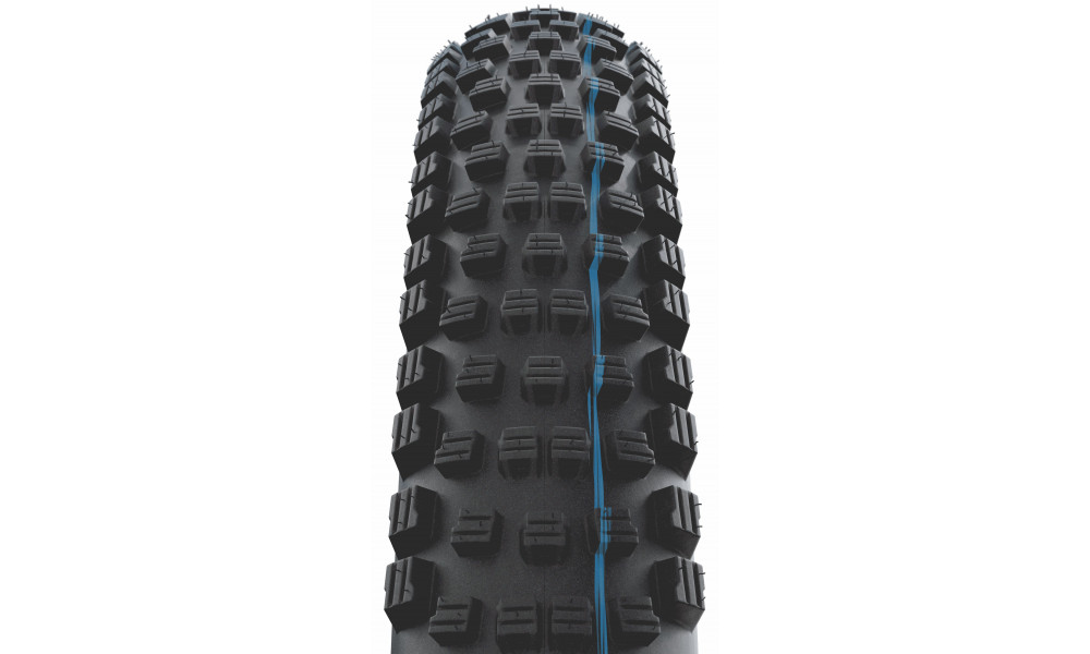 Riepa 29" Schwalbe Wicked Will HS614, Evo Fold. TLE 57-622 / 29x2.25 Super Race Transparent Skin - 3