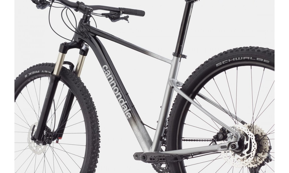 Velosipēds Cannondale Trail 29" SL 4 charcoal gray - 3