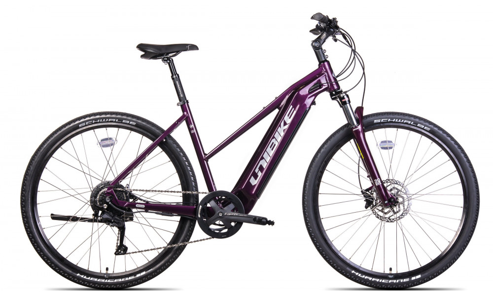 Elektro velosipēds Unibike Falcon LDS 2024 burgund 