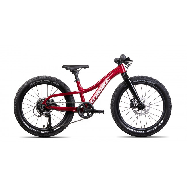 Velosipēds Unibike Dart 20 2024 red