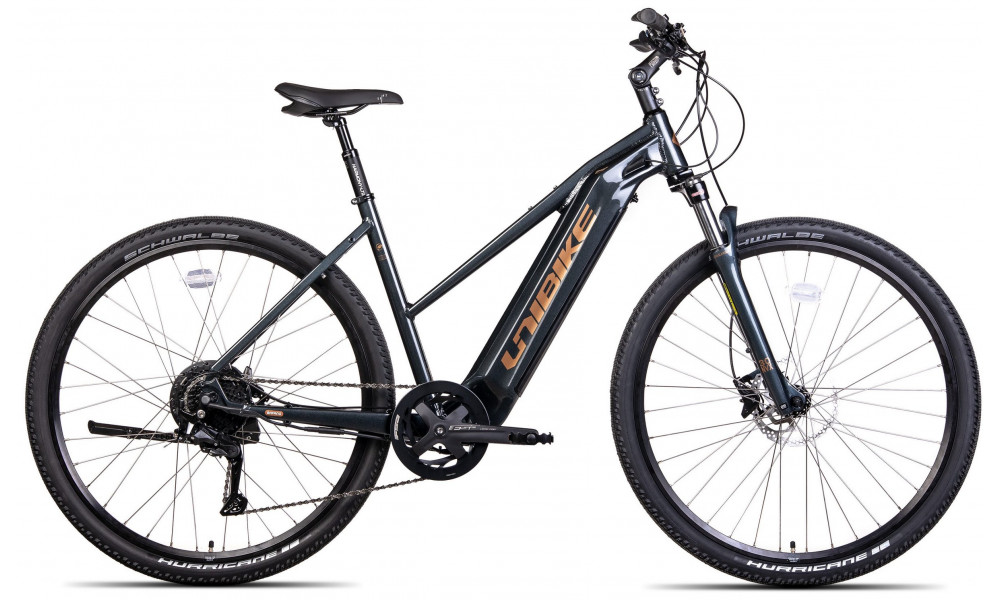 Elektro velosipēds Unibike Falcon LDS 2024 black 