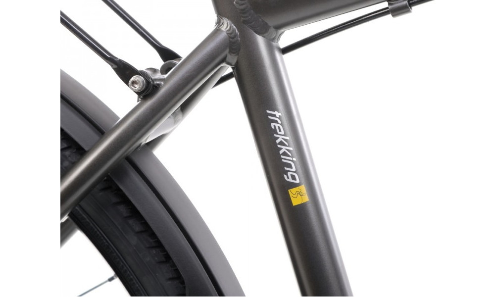 Velosipēds Romet Wagant 2 28" 2022 graphite-gold - 4