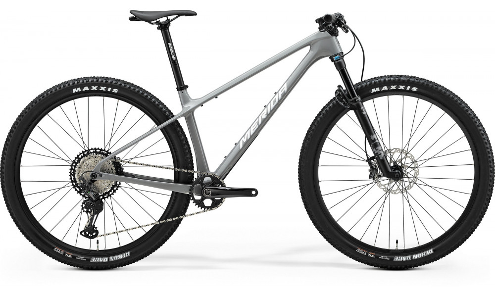 Velosipēds Merida Big.Nine XT III1 cool grey(silver/black) 