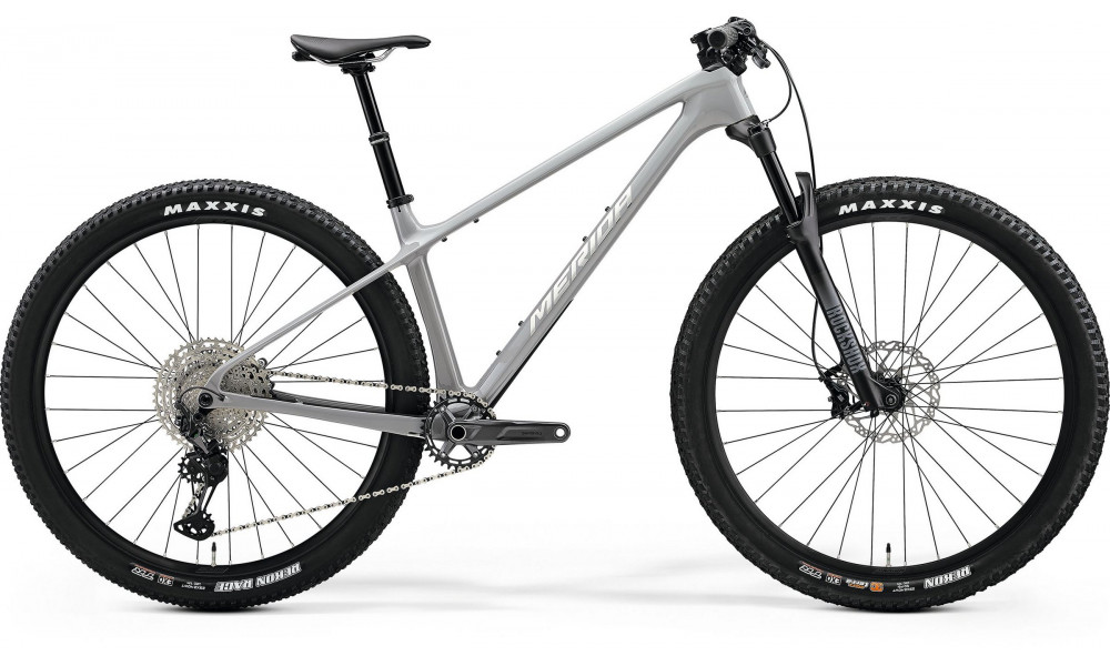 Velosipēds Merida Big.Nine TR 5000 III1 cool grey(silver/black) 