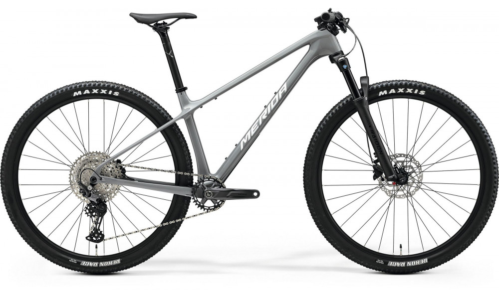 Velosipēds Merida Big.Nine 3000 III1 cool grey(silver/black) 