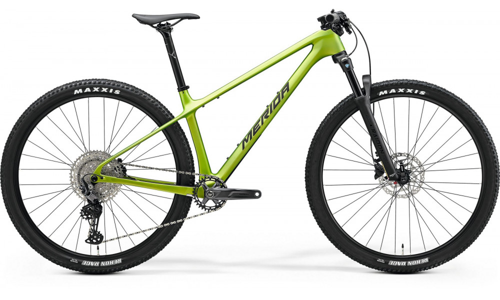 Velosipēds Merida Big.Nine 3000 III1 matt fall green(blk/slv-grn) 