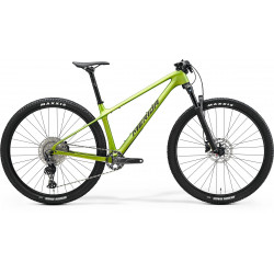 Velosipēds Merida Big.Nine 3000 III1 matt fall green(blk/slv-grn)