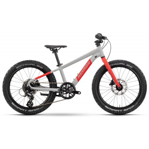 Velosipēds Raymon Yanga 20 Pro 2025 grey-red