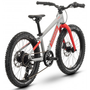 Velosipēds Raymon Yanga 20 Pro 2025 grey-red