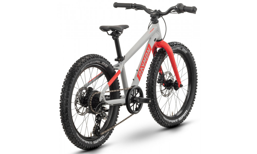 Velosipēds Raymon Yanga 20 Pro 2025 grey-red - 2