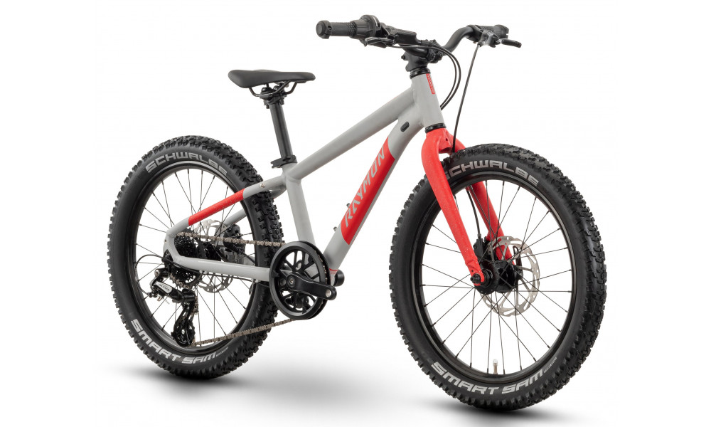 Velosipēds Raymon Yanga 20 Pro 2025 grey-red - 3