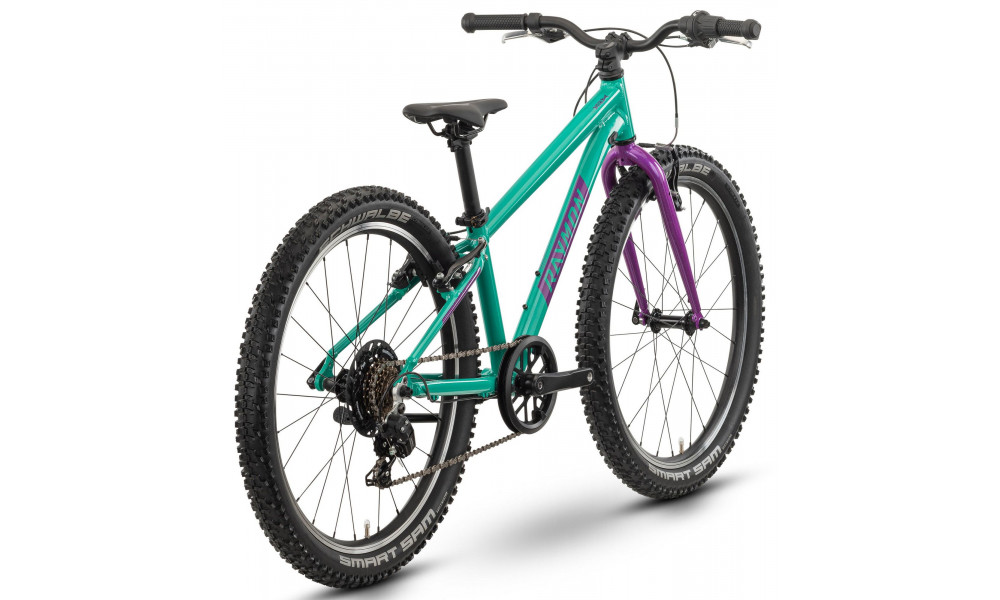 Velosipēds Raymon Yanga 24 2025 green-purple - 2