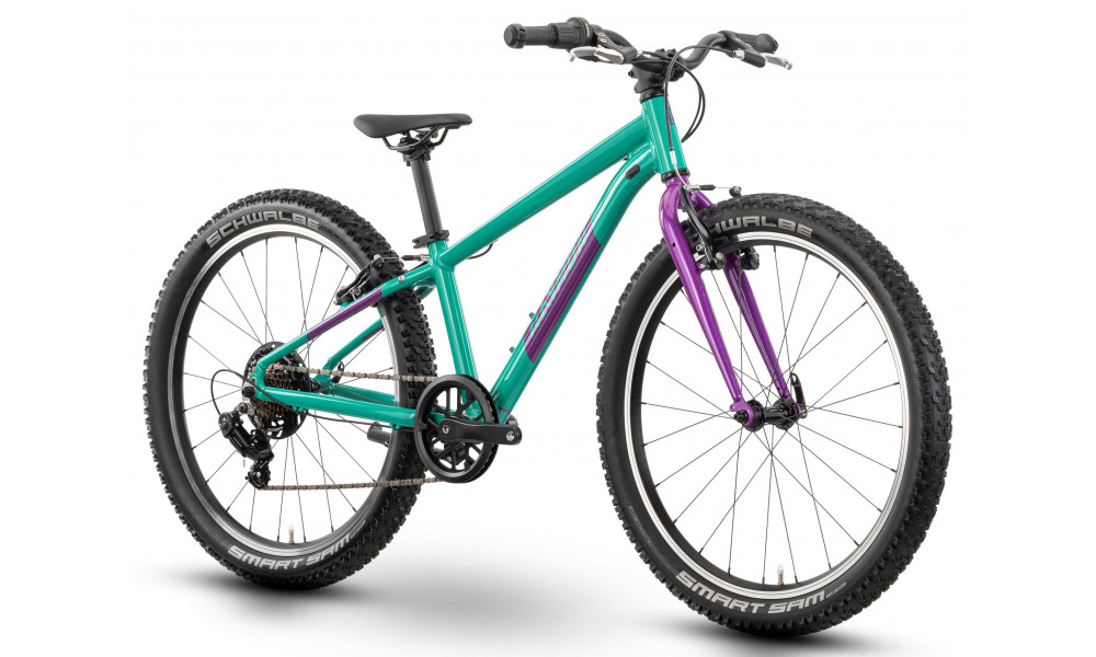 Velosipēds Raymon Yanga 24 2025 green-purple - 3