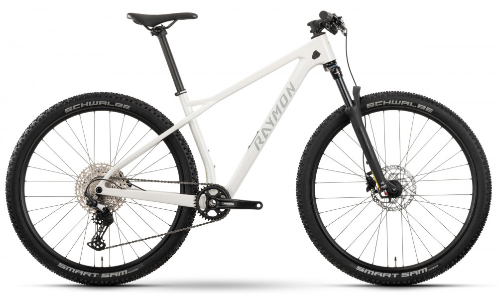 Velosipēds Raymon Arid 29" 2025 saltwhite matt - 1