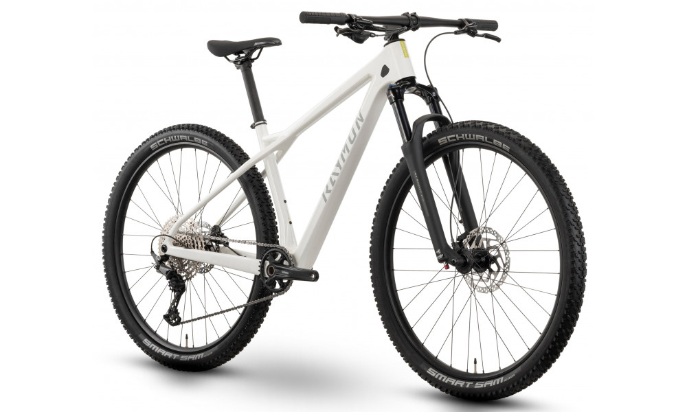 Velosipēds Raymon Arid 29" 2025 saltwhite matt - 3