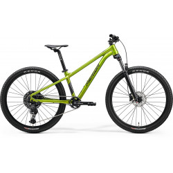 Velosipēds Merida Matts J.Champion III2 fall green(black/gunmetal gry)