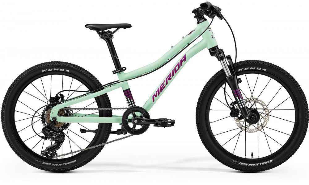 Velosipēds Merida Matts J.20 I3 matt mint(purple/wht/blk) 