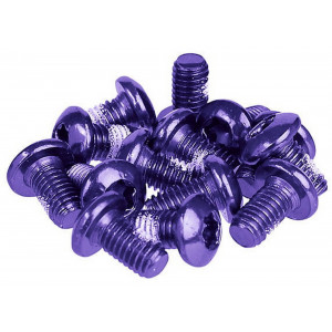 Diska bremžu rotora piestiprināšanas skrūves Prox purple M5x10mm (12pcs.)