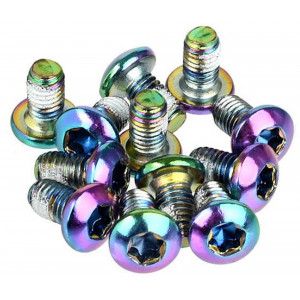 Diska bremžu rotora piestiprināšanas skrūves Prox rainbow M5x10mm (12pcs.)