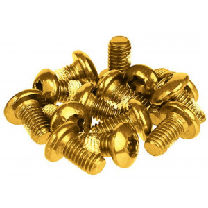 Diska bremžu rotora piestiprināšanas skrūves Prox gold M5x10mm (12pcs.)