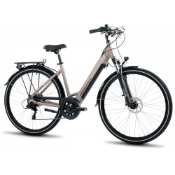 Elektriskais velosipēds ProEco Wave AN 1.0 R 504Wh champagne-black