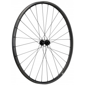 Priekšējais ritenis NEWMEN Advanced Carbon SL X.R.25 29" 28H Gravel SP C-Lock 12x100