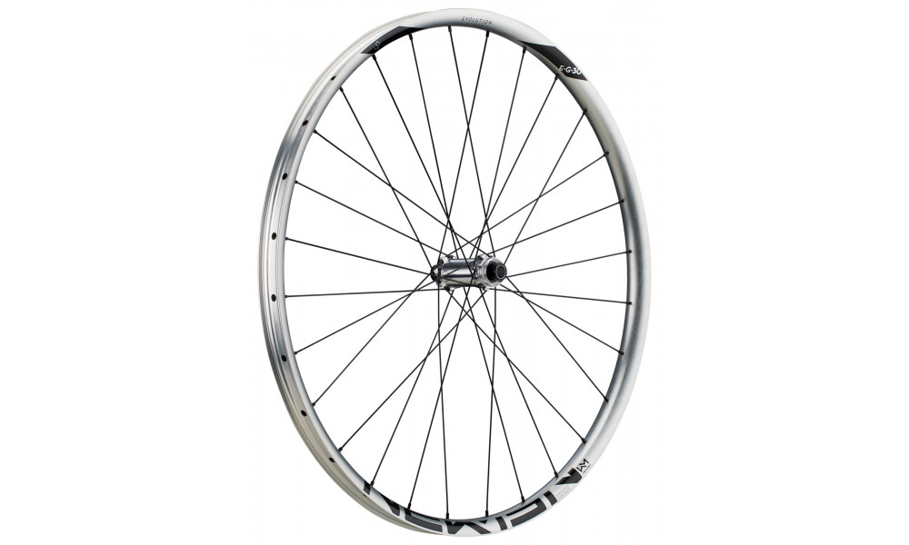 Priekšējais ritenis NEWMEN Evolution Alu SL E.G.30 29" 15x110 SP C-Lock 28H - 5