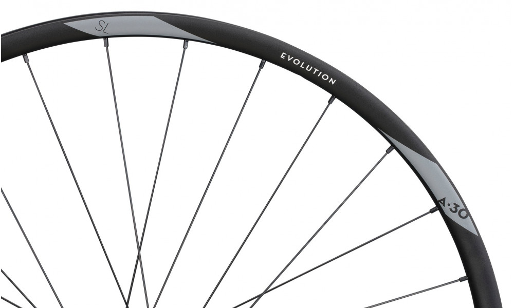 Priekšējais ritenis NEWMEN Evolution Alu SL A.30 29" 15x110 SP 6-bolt 28H - 4