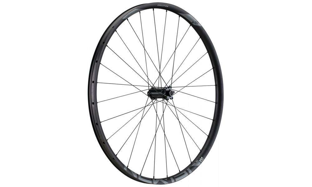 Priekšējais ritenis NEWMEN Evolution Alu SL A.30 29" 15x110 SP 6-bolt 28H - 5