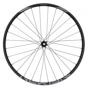 Priekšējais ritenis NEWMEN Evolution Alu SL E.30 29" 15x110 SP 6-bolt 28H