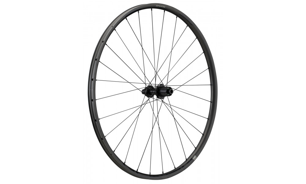 Aizmugurējais ritenis NEWMEN Advanced Carbon SL X.R.25 29" 28H Gravel SP C-Lock 12x142 XDR 