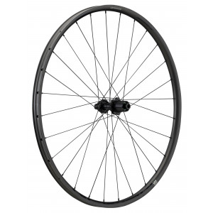 Aizmugurējais ritenis NEWMEN Advanced Carbon SL X.R.25 29" 28H Gravel SP C-Lock 12x142 HG