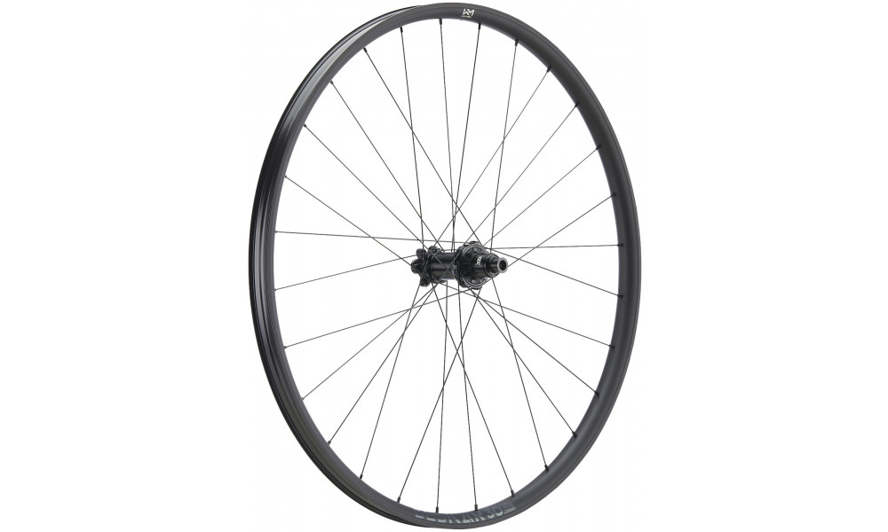 Aizmugurējais ritenis NEWMEN Beskar Alu 30 light 29" 28H SP 6-bolt 12x148 HG 