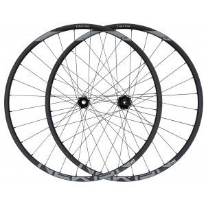 Aizmugurējais ritenis NEWMEN Evolution Alu SL A.30 29" 12x148 SP 6-bolt 28H MicroSpline