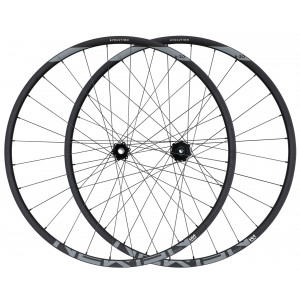 Aizmugurējais ritenis NEWMEN Evolution Alu SL A.30 29" 12x148 SP 6-bolt 28H HG