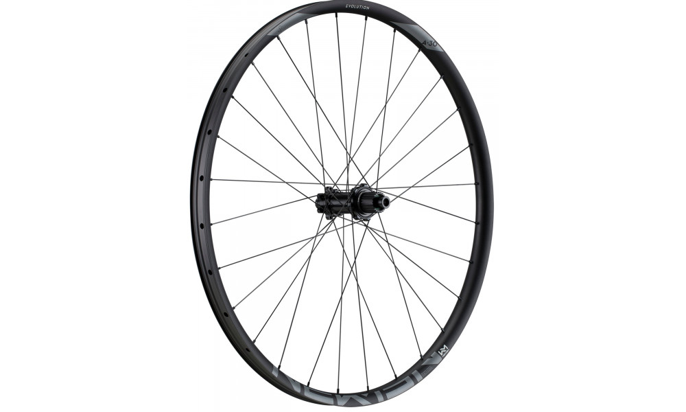 Aizmugurējais ritenis NEWMEN Evolution Alu SL A.30 29" 12x148 SP 6-bolt 28H XD - 1