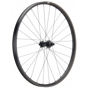 Aizmugurējais ritenis NEWMEN Phase Carbon 30 base 29" 28H SP 6-bolt 12x148 HG