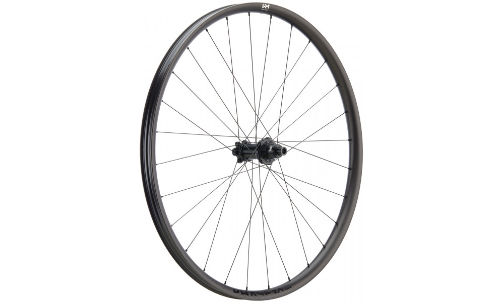 Aizmugurējais ritenis NEWMEN Phase Carbon 30 base 29" 28H SP 6-bolt 12x148 XD 