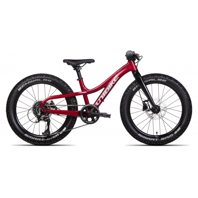 Velosipēds Unibike Dart 20 2025 red