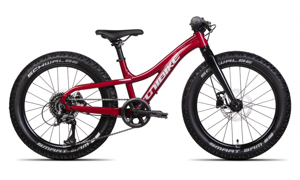 Velosipēds Unibike Dart 20 2025 red 