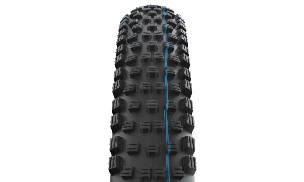 Riepa 29" Schwalbe Wicked Will HS 614 Evo Fold TLE 65-622 / 29x2.60 Super Trail Addix SpeedGrip - 3